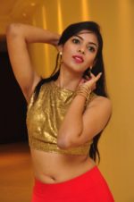Super Sexy Photo Stills of South Actress Kushbu | Cinema World alekhya Brand New Sexy Photo Stills of Alekhya | Tollywood | Actresses Kushbu Super Sexy Photo Stills 35 e1485209648968 1